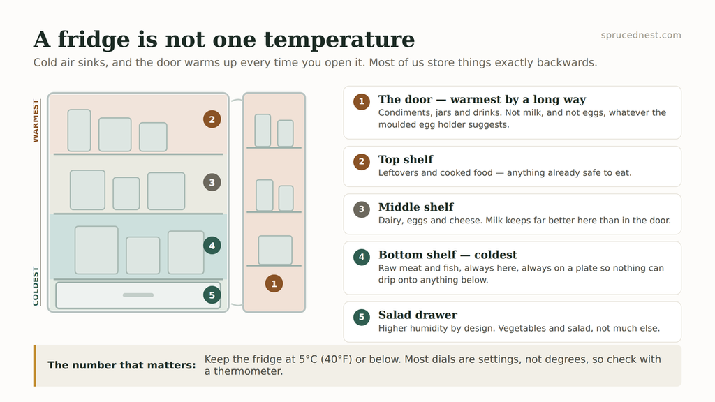 Fridge temperature zone map showing where to store food: warm door, cold bottom shelf, steady middle shelves and humid crisper drawers