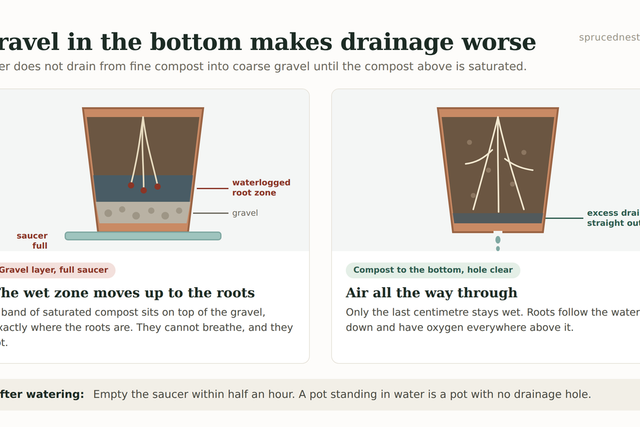 Diagram showing how to water container plants without a gravel layer, with the wet band at the very bottom of the pot
