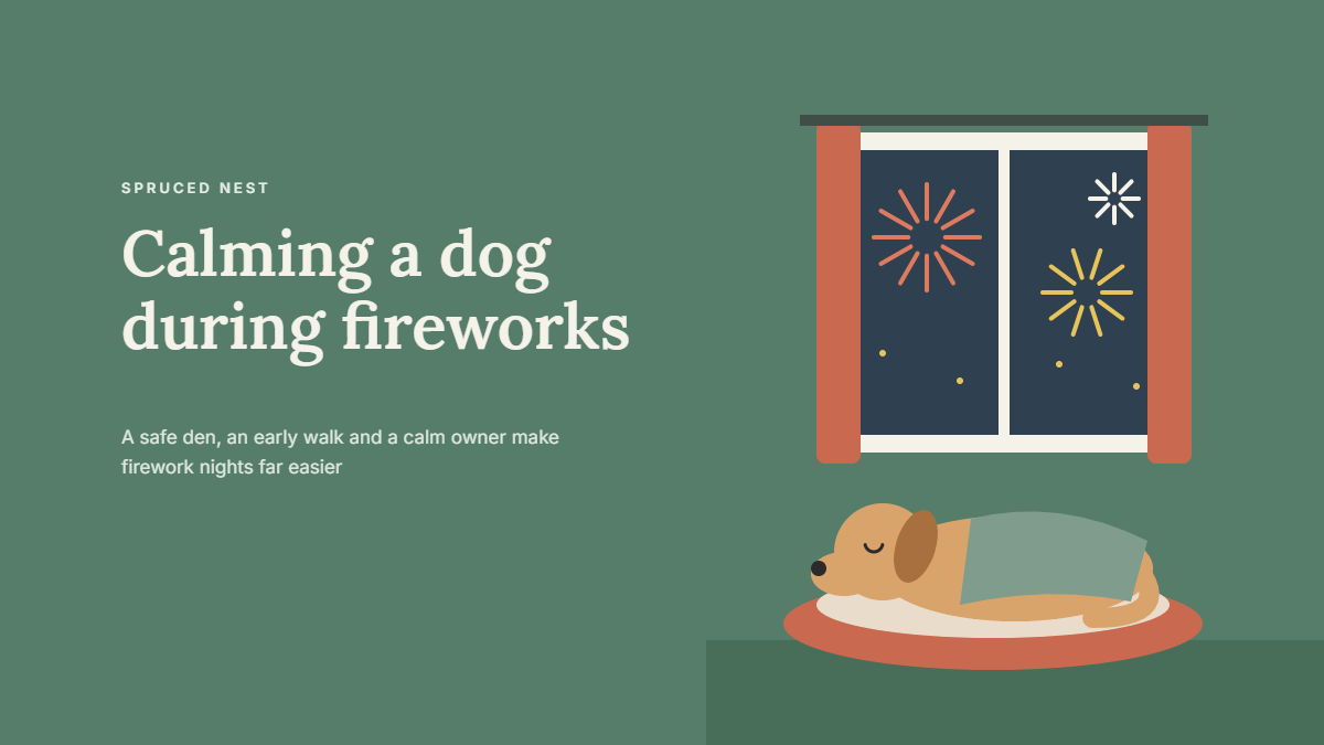 How to keep your dog calm during fireworks