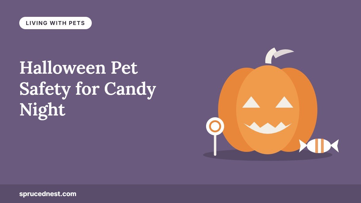 Halloween pet safety illustration with a jack-o-lantern and wrapped candy