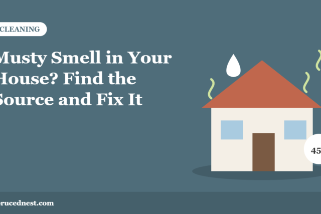 Musty smell in your house: finding the source