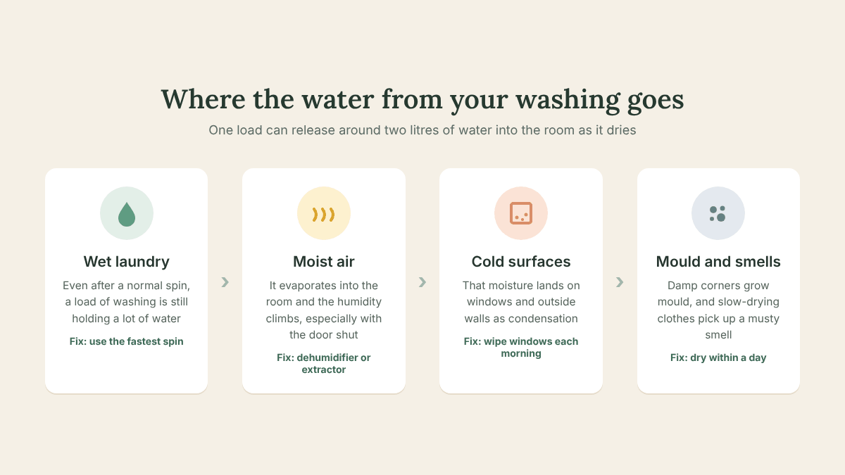 How water leaves laundry when you dry clothes indoors, turning into moist air, condensation and mold